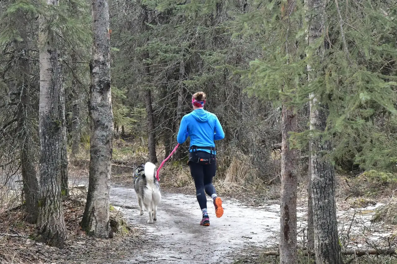 森の小道を犬と一緒に朝ジョギングする女性